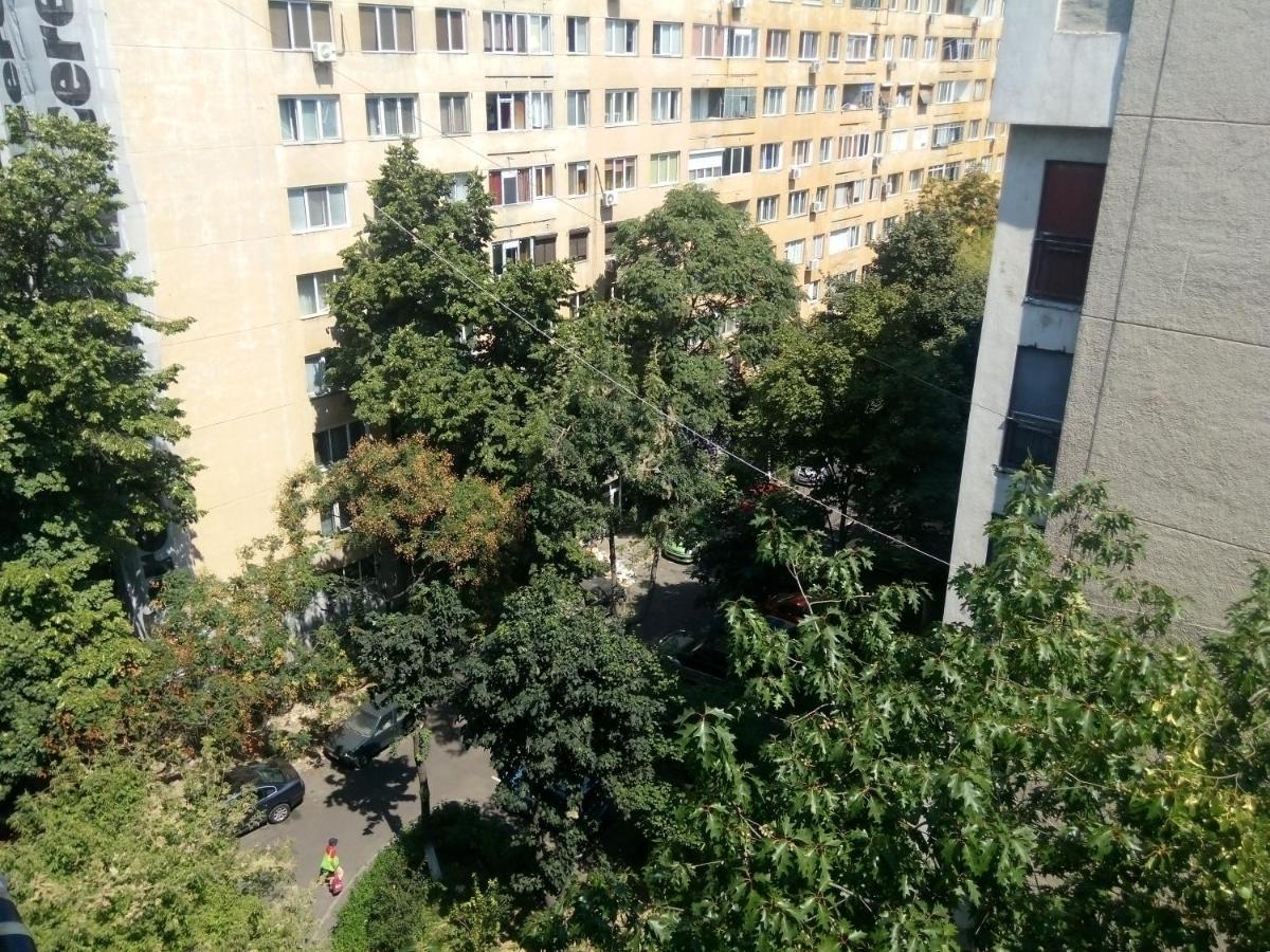 Apartament Sonia بوخارست المظهر الخارجي الصورة